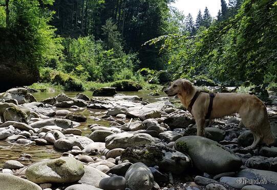 Sihlbrugg Village-Schiffli-Sihlsprung-Sihlmatt