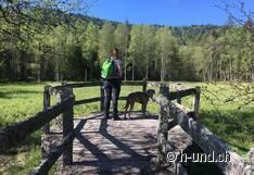 Wunderschöne Natur-Momente 
