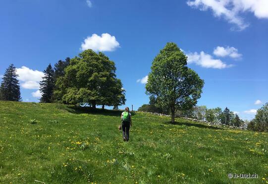 Da Sornetan a Tramelan