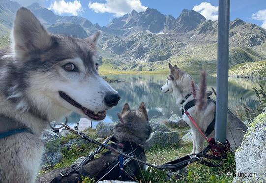 Splügen Surettaseen