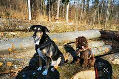 Stammerberg Rundwanderung