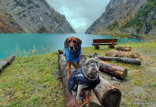 Diga di Vättis fino a St. Martin nella valle di Calfeisen