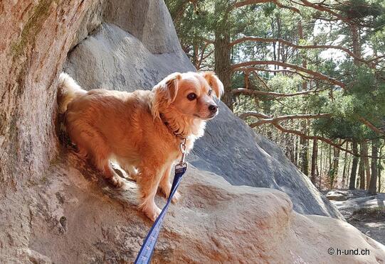 Sugiez über den Mont Vully