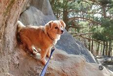 Sugiez über den Mont Vully