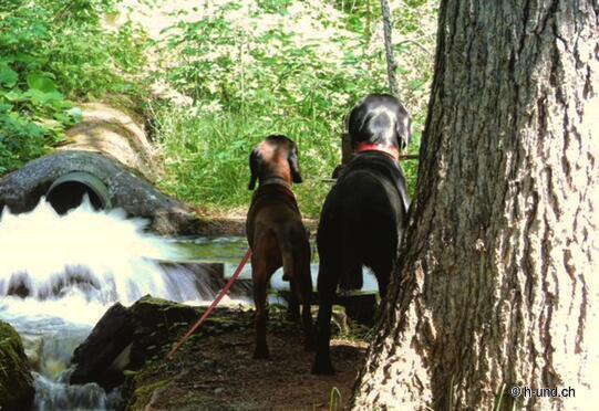 Escursione a Suonen Visperterminen