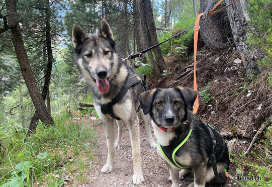 Percorso circolare di Surava