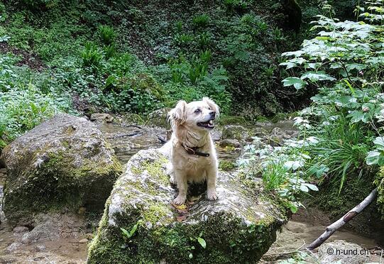 Gola del Diavolo Hägendorf