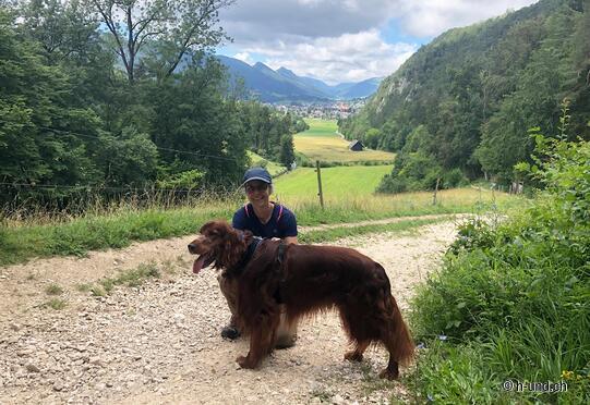 Sentiero circolare di Thal con le rovine del castello di Neu Falkenstein