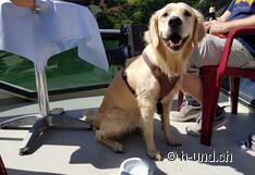 Bevande sulla SZR per tutti i passeggeri