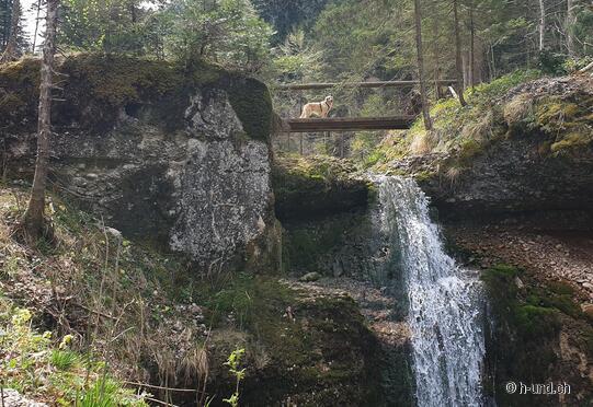 Tösswald - Wasserfall Buri - Scheidegg -Hüttchopf-Stierweid