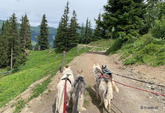 Tschiertschen - Arosa