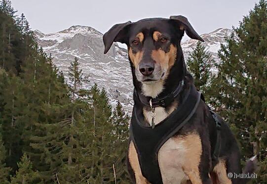 Unterwasser - Gamplüt - Unterwasser