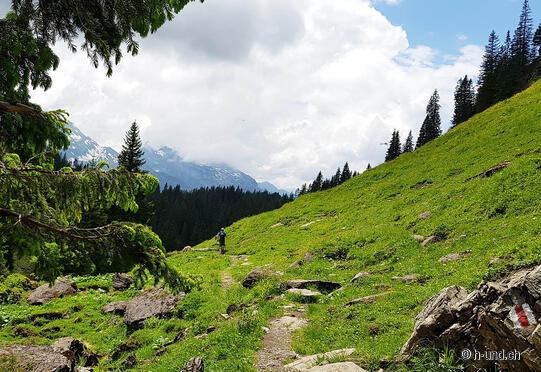 Sentiero del bosco primordiale Bödmeren Muotathal Eigeliswald
