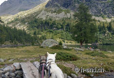 Una natura bellissima da esplorare.