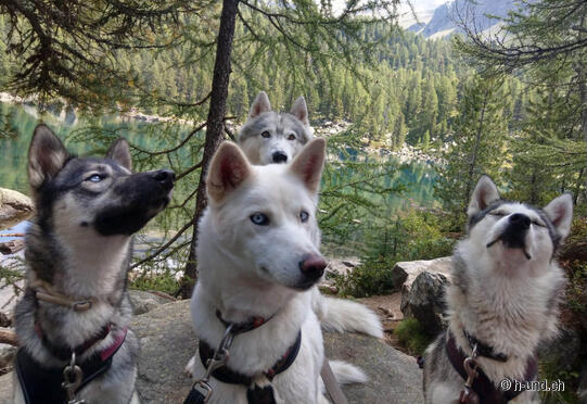 Val da Camp - mit Lagh da Saoseo und Lagh da Val Viola