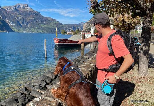 Da Flüelen a Sisikon: escursione nella patria di Guglielmo Tell