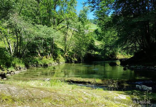 From Wattwil to Krummenau