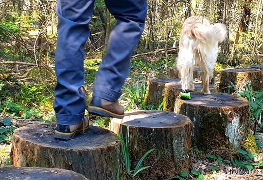 Sentiero avventura nella foresta - Parco naturale Sihlwald