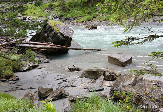 Escursione al Waldhaus Kandersteg