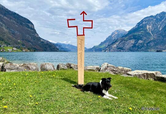 Sentiero svizzero - da Seedorf a Isleten e ritorno