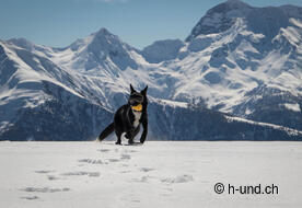 Mex against a beautiful backdrop.