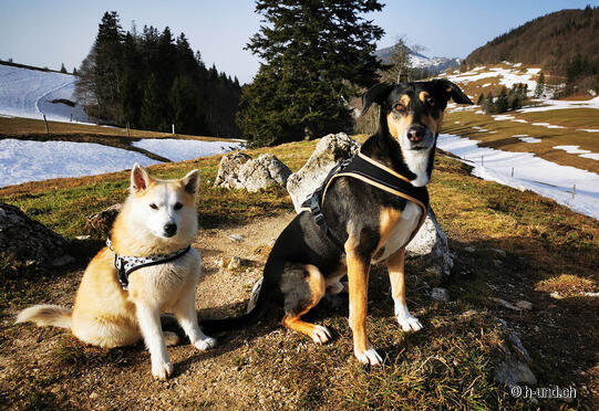 Weissenstein circular hike