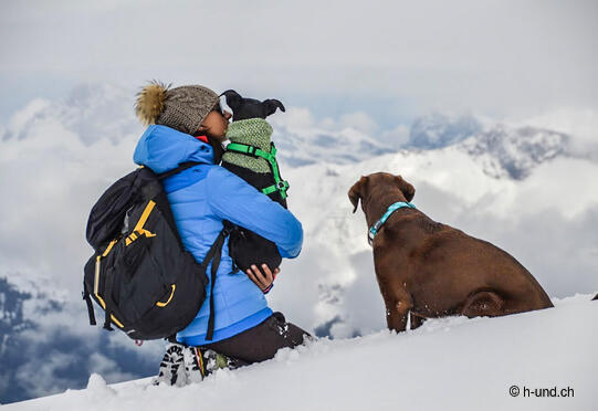 Weissfluhjoch - Haupter Tälli - Strelapass - panorama trail - middle station