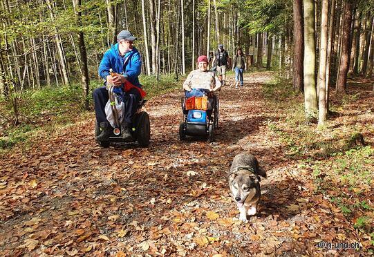 Percorso circolare di Wetzikon