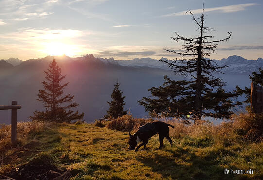 Sentiero di osservazione del gioco con Janine e Brösmeli