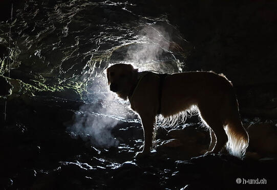 Wildmannlisloch - Sellamatt