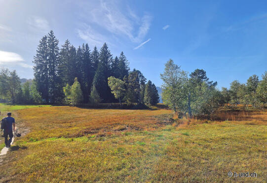 Sentiero circolare Wolzenalp Rietbach