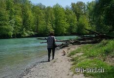 Meraviglioso lungo la riva.