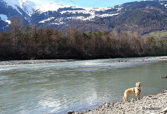 Zizers - Rhein - Rundweg