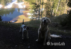 Kaya e Nemesis si godono il tour intorno allo Schwarzensee.