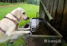 Durstlöschen bei Grillstelle Richtung Rittmarren