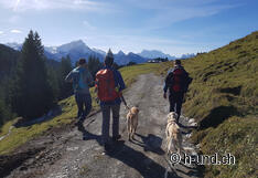 Insieme sulla strada: Kaya con Rocky