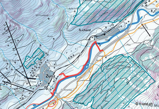 Sentier de fond pour chiens Zuoz-S-chanf