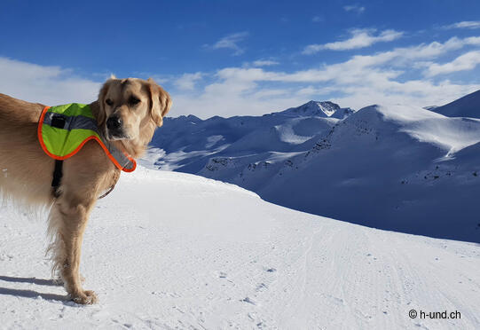 Arflina Berghaus - Winter hiking trail