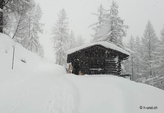 Brün-Imschlacht avec le plaisir de la luge