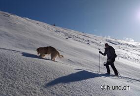Escursioni con il cane in inverno