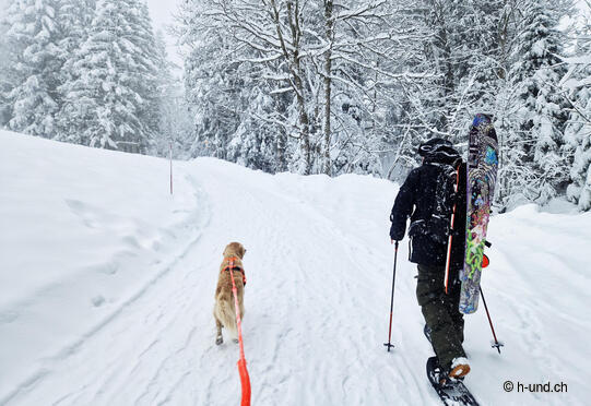 Herrenboden - Hochstuckli
