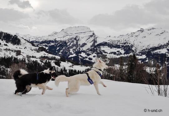 Escursione circolare Illgau-Oberberg