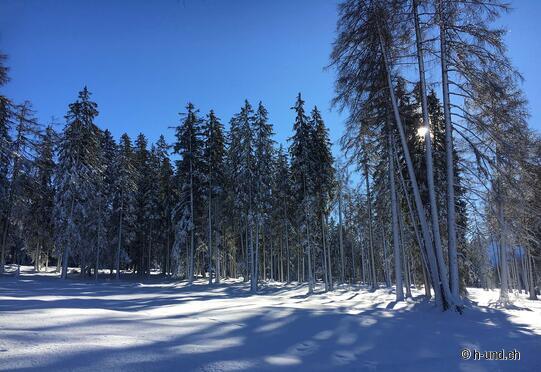 Katrinweg: Heidsee - Guarda Val - Lenzerheide