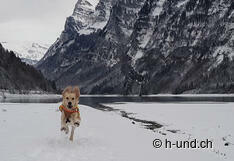 Lieu préféré Kaya