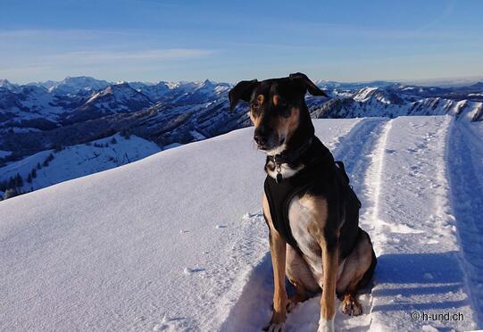 Kronberg Appenzellerland