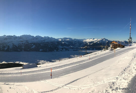 Niederhorn - Waldegg avec Claudia, Nicole, Asco et Roxy
