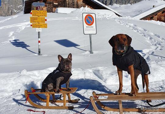 Partnun randonnée d'hiver