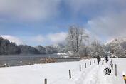 Türlersee circular trail