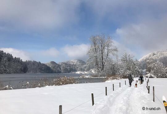 Türlersee circular trail
