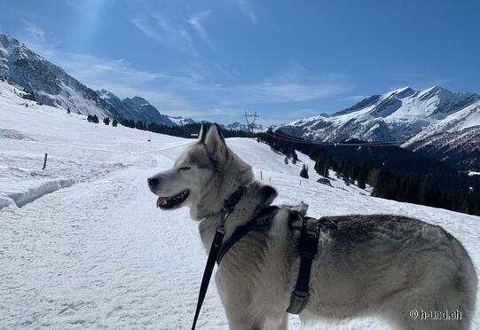 San Bernardino Winter Hike
